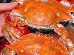 -半岛听涛蒸汽海鲜自助(K11店)