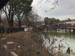 -无锡动物园·太湖欢乐园
