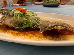 -广州酒家(昌岗地铁站店)