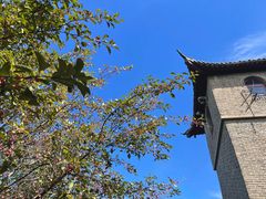 -爱新觉罗皇家博物院