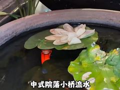 -锦上中式酒馆(南内环店)