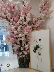 -静待花开瑜伽尊巴会馆