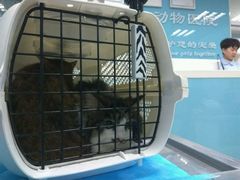 -纳吉亚猫专科动物诊疗中心(蒋宅口分院)