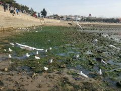 -老味道民宿(栈桥店)