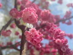 -玉雪春天(中正花园店)