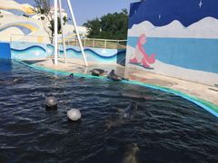 -北戴河圣蓝海洋公园