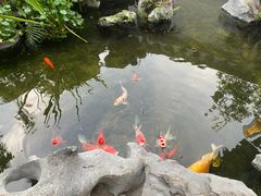 -道南書院·私房菜·早午茶·茶馆