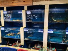 -鹰龙海畔度假酒店(咸祥店)