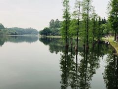 -南国桃园旅游度假区