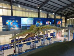 -上海海洋大学鱼文化博物馆(军工路校区)