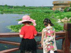 -荷塘月色湿地公园·向阳花洲