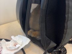 -宠颐生汉谟拉比宠物医院