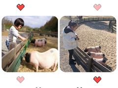 -前小桔亲子创意农场·草莓采摘·露营烧烤