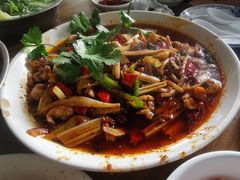 -小杨翘脚牛肉