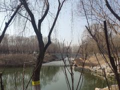 -大兴滨河森林公园