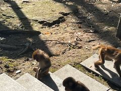 -千岛湖东南湖区