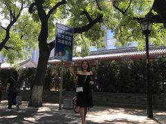 -北京国子监胡同