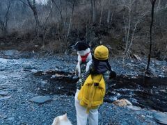 -凤凰山国家森林公园