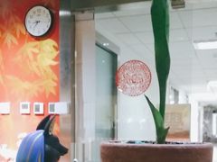 -学习谷日语培训日本留学·多语种外语教学(海淀人大分部)