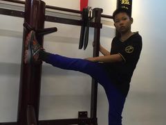-温鉴良实用咏春拳