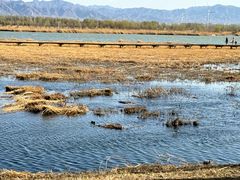 -野鸭湖国家湿地公园