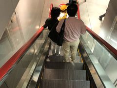 -关西国际机场直营免税店
