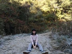 -苍山感通索道