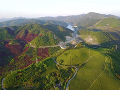景点-四明山国家森林公园