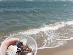 -金梦海湾浴场
