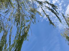 -南北湖风景区