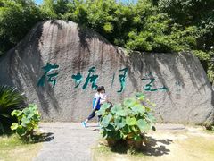 -荷塘月色湿地公园·向阳花洲