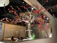 -佬肥猫(国华广场店)