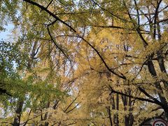 -四川大学(华西校区)