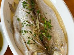 清蒸白鱼-品鲜村农家菜·阳澄湖大闸蟹(总店)