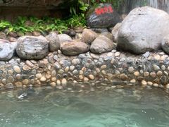 -嘉和K6温泉微度假