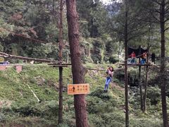 -梦幻奥陶纪景区