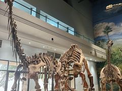 -自贡恐龙博物馆