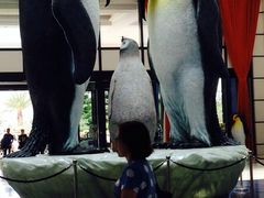 -广东省拱北口岸中国旅行社(华宾营业部)