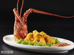 -悦泰环球美食自助(金茂旗舰店)