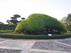 -南宁南湖公园