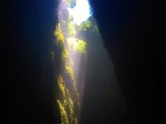 -怀托摩萤火虫洞