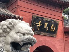 -洛阳白马寺
