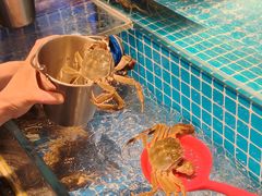 -焰江山海鲜牛排烤肉自助(锦华万达二星店)
