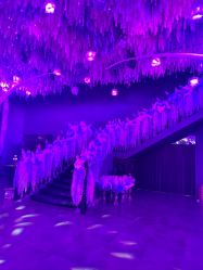 -格乐利雅婚礼艺术中心(浦东花木店)