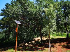 -北京西山国家森林公园