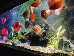 -上海海洋水族馆