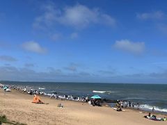 -巧克力渔家.小船海鲜胶东菜(万平口店)