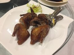 妙龄乳鸽-帝皇楼