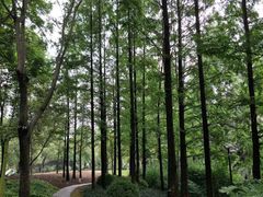 -苏州河梦清园环保主题公园