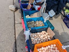 -雪绒花路停车场